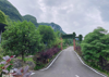 (转让) 仙女山景区盈利中民宿转让