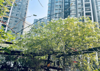 (转让) 旺铺白菜价转让，，毫无压力。