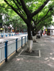 (转让) 三万急转两路北大街一百平火锅馆