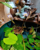 (转让) 花艺老店带品牌资源转让