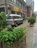 (转让) 本店铺是商业街门市，带外摆条件非常优越