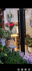 (转让) 花艺老店带资源转让,经营中