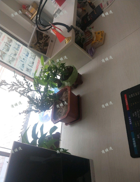 (转让) 装修公司转让（全屋整装店）