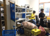 (转让) 中医药大学校园菜鸟驿站转让