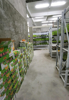 (转让) 中央9栋101、105，转让场地、种植技术和设备。