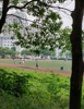 (转让) 成熟商圈，居民楼，大学生