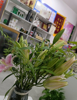 (转让) 店铺位置非常好，都是小区客户