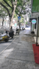 (转让) 船山路中心区域临街店铺