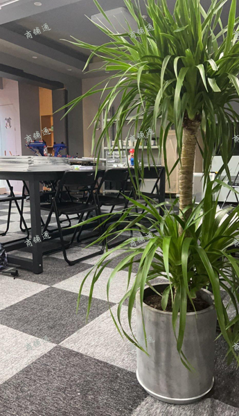 (转让) diy服装店，不会可教，教会在转让，设备都齐全