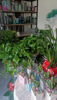 (转让) 花店转让，九龙湖中心地段房租便宜提包可经营，也可以换其他行业