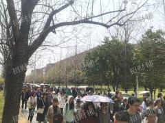 师范大学4万师生咖啡店 日营业3000