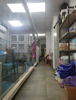 (转让) 4年宠物店转让