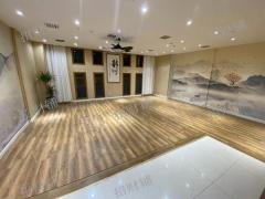 地铁大厦旁临街门宽15米独栋 适合做美容店 宠物医院 医美 会所小酒馆