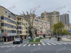 十字路口拐角店  景区门口 社区和中学旁 适合做零食店 奶茶咖啡、民宿、小酒馆等