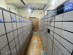 1.1万多人大学 独家快递店 日派件2000~5000件 6毛一票 无人值守 