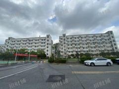 大学校内 全新美食城   全品类招租 行业不限 校内没有商业街