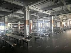 8000多人独家食堂 校内外均没有商业街 全品类招租 行业不限