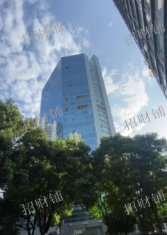 八一广场  33间客房  精装修   全部是明房  有大床房 商务标间 商务套房